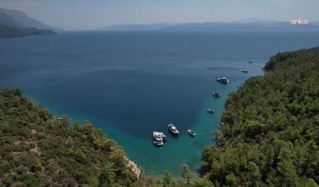 Muğla'nın doğasını korumak için bugüne kadar 288 dava açıldı