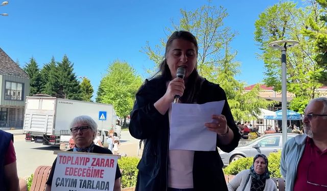 Rize'de çay üreticilerinden yaş çay fiyatı protestosu: 45 liranın altındaki fiyatı kabul etmiyoruz
