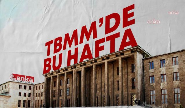 TBMM'de bu hafta: Merkez Bankası Başkanı, komisyonda bilgilendirme yapacak, silahlı okul saldırılarıyla ilgili araştırma komisyonu toplanacak