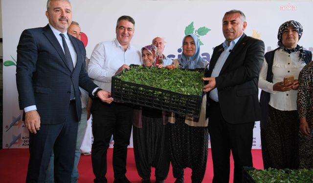 Adana Büyükşehir Belediyesi'nden Aladağlı çiftçiye domates fidesi desteği