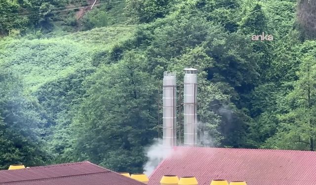 Ardeşen'de mahalleliden çay fabrikasının yarattığı iddia edilen kirliliğe tepki