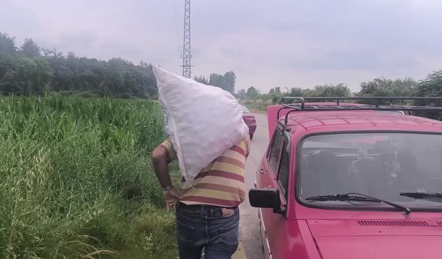 Osmaniye'de ürettiği soğanı satamayan çiftçi, tarlasını vatandaşlara açtı