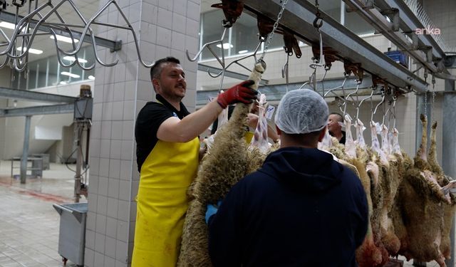 Tekirdağ Büyükşehir Belediyesi mezbahalarında 977 kurbanlık hayvanın kesimi gerçekleştirildi