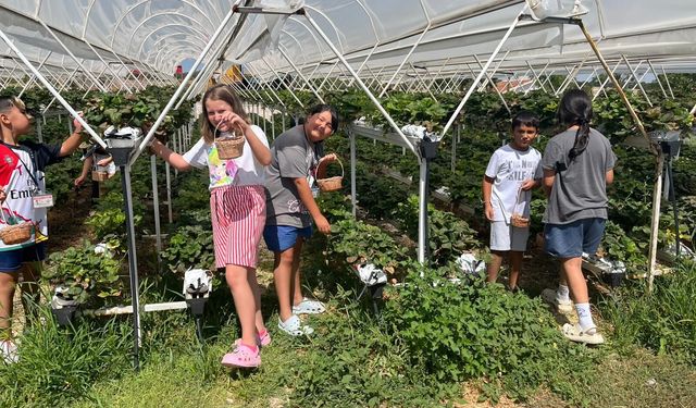 Eskişehir'de Taşlık Çiftlik Köy Doğa Yaz Okulu için kayıtlar başladı
