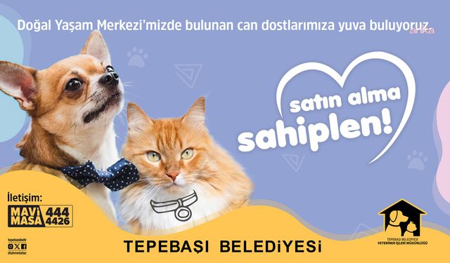 Tepebaşı Belediyesi'nden can dostlara umut olan çağrı