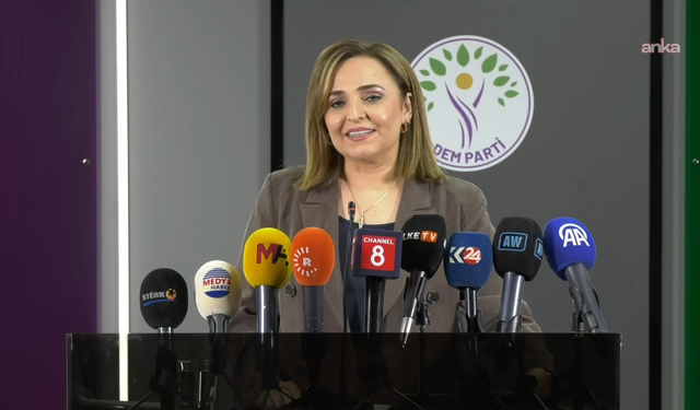 Ayşegül Doğan: 'Henüz ortada yazılı bir taslak ve netleşmiş bir takvim yok'