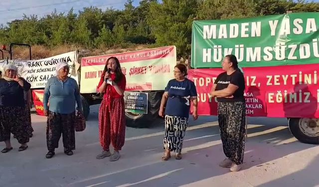 Çevre gönüllüleri, ağaç kesimlerinin üçüncü yılında Akbelen Ormanı'nda buluştu