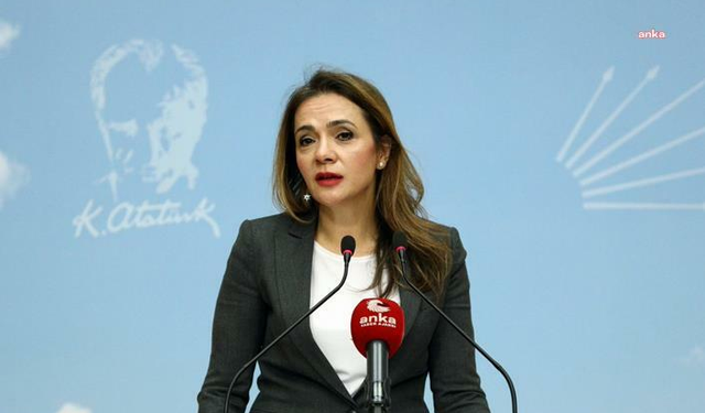 CHP Genel Başkan Yardımcısı İlgezdi: 'Gençler, en dinamik dönemlerinde eğitim ve üretim zincirinin dışına itiliyor'