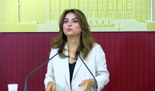 DEM Parti Grup Başkanvekili Koçyiğit: 'Çerçeve yasa için yoğun temas trafiği sürüyor, TBMM kapanmadan önce yasa çıkacak'