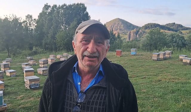 Gezgin arıcı artan maliyetlere rağmen 'hastalığından' vazgeçmiyor