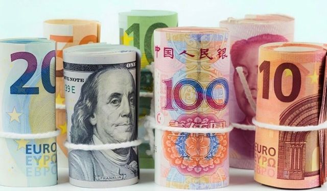 Dolar Gerilerken TL'de Rekor Serisi Durmuyor