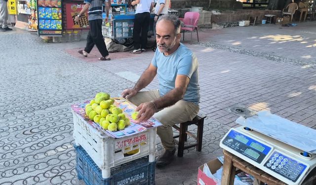 İncirin tanesi 42 liradan satılıyor: 'Bu fiyata alamam'