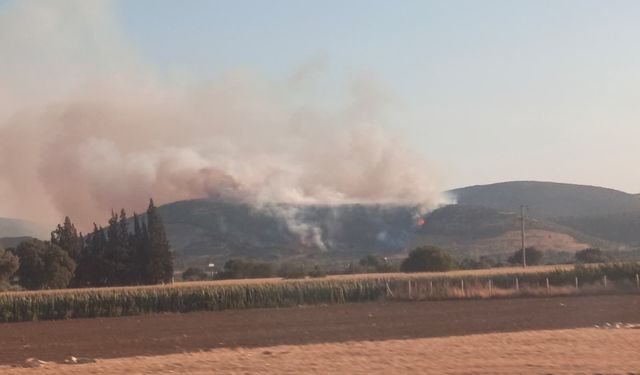 İzmir'in Torbalı ilçesindeki orman yangını kontrol altına alındı