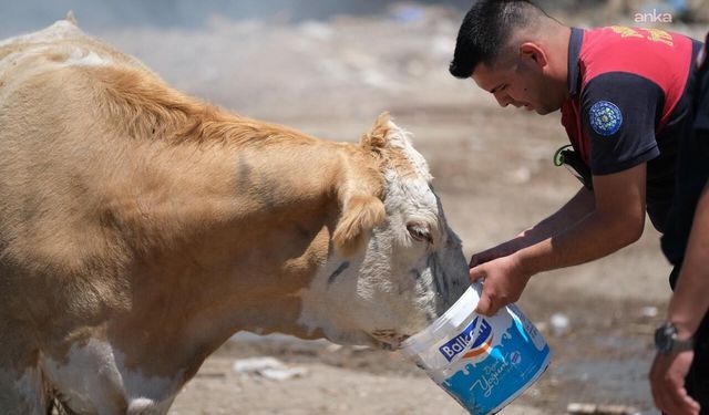 Muğla Büyükşehir Belediyesi İtfaiyesi ekiplerinden örnek davranış
