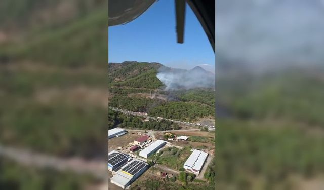 Muğla'da 3 ayrı noktada yangın
