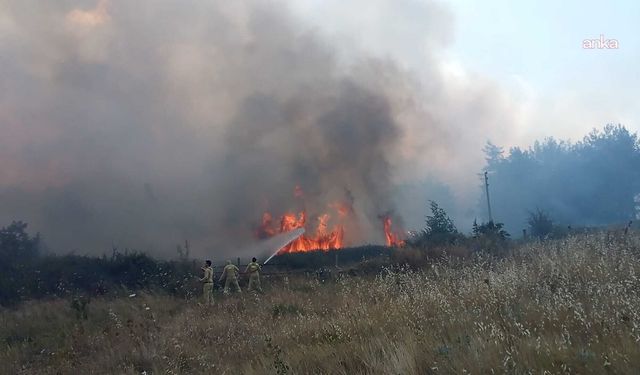 Muğla'da ormana sıçrayan yangın kontrol altına alındı