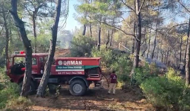 Muğla'da ziraat alanından ormana sıçrayan yangında 1 gözaltı