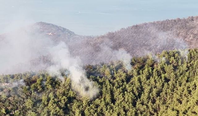 Muğla'daki yangın büyük ölçüde kontrol altına alındı