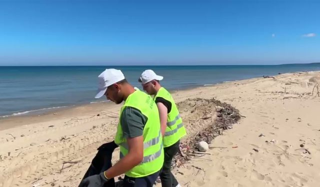 Sinop'ta Sarıkum'un kıyı şeridinde çöp temizliği