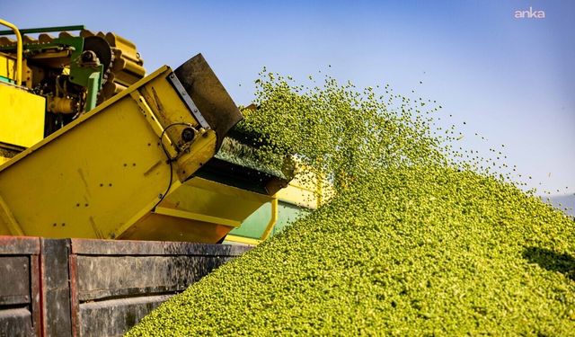 Toprağın bereketi SuperFresh'in 'hasat'ıyla yılın 365 günü sofralarda