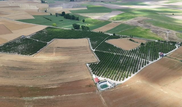 Yozgat'tan Avrupa'ya kiraz ihracatı