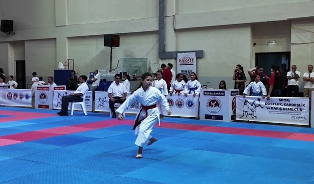 '7. Uluslararası Gemlik Karate Turnuvası' tamamlandı