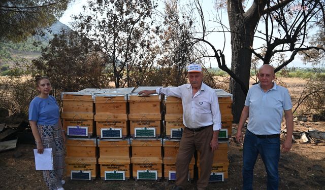 Manisa Büyükşehir Belediyesi'nden yangında kovanları zarar gören arıcıya destek