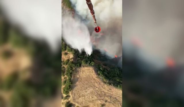 Manisa'da makilik alanda yangın... Havadan ve karadan müdahale sürüyor