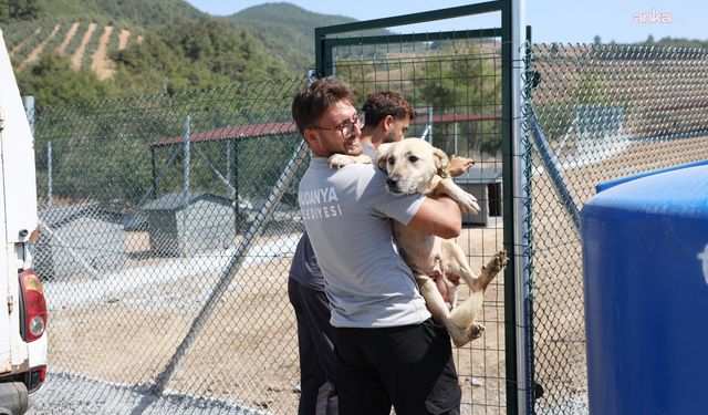 Mudanya'da can dostların yaşam alanı büyüyor