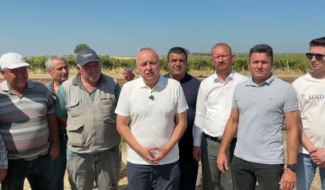YENİ Partili Bakırlıoğlu Saruhanlı'da üzüm üreticileriyle bir araya geldi: Geçen yıl 120 liraya satılan üzüm bugün 80 liraya alınıyor