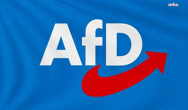 Almanya'nın Saksonya-Anhalt eyaletindeki seçimde aşırı sağ popülist parti AfD rekor kırdı