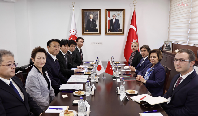 Bakan Yardımcısı Ekinci, Japonya Senatosu üyeleri ile görüştü