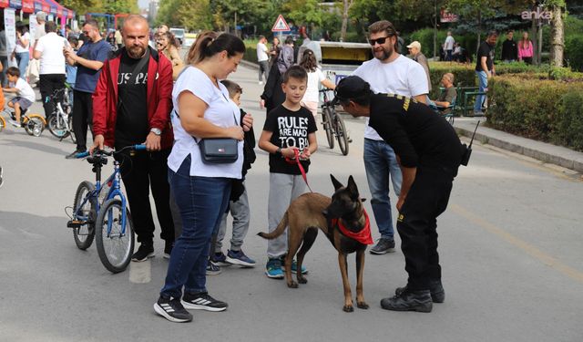 Eskişehir’de sahipsiz canlar için farkındalık çağrısı