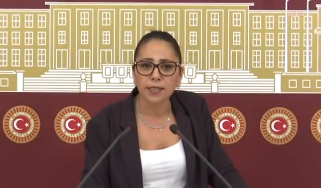 Sera Kadıgil'den sosyal medya hesaplarına erişim engeli getirilmesine tepki: Muhaliflerini yok etmek için tüm enerjisini kullanıyor