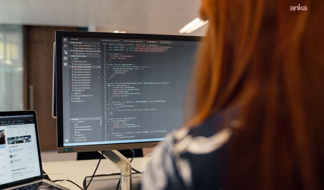 TÜİK'in araştırmasına göre, bilişim uzmanı istihdamında girişimlerin yüzde 82,6'sı yüksek ücret beklentisiyle karşılaştı