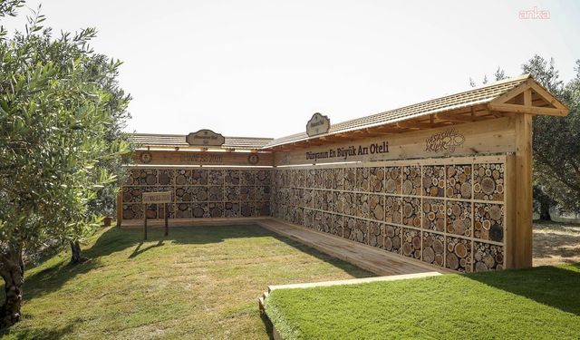 Anavarza Bal'ın Guinness rekoru sahibi 'Dünyanın En Büyük Arı Oteli' projesine Altın TAMGA Ödülü