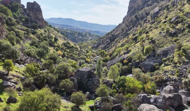 ÇED kararı iptal edilen Tağar HES için yeniden süreç başlatıldı
