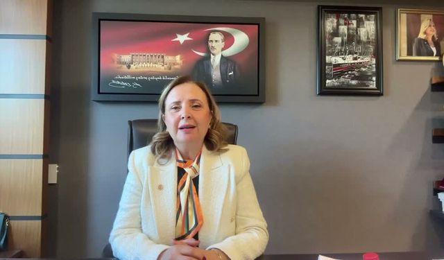 CHP Genel Başkan Yardımcısı Dinçer'den partisinin Belçika Birliği Üyelerine çağrı: 'Dileğim, CHP çatısı altında birlikte yürümeye devam etmemizdir'