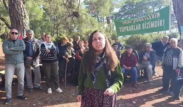 Danıştay'dan Akbelen kararı: 679 parseli acele kamulaştırılma kararı hukuka uygun