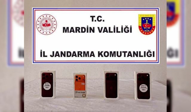 Mardin'de piyasa değeri 8 milyon TL olan kaçak ürünler ele geçirildi