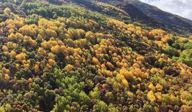 Tunceli'de 'yüksek gerilim hattı' protestosu: Bu yenileme değil, bu düpedüz Pülümür Vadisi'nin talan edilmesidir