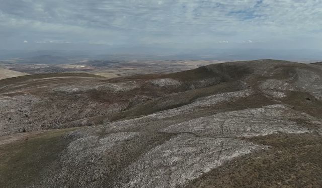 Yozgat'ta 70'e yakın yılkı atı için koruma mesaisi