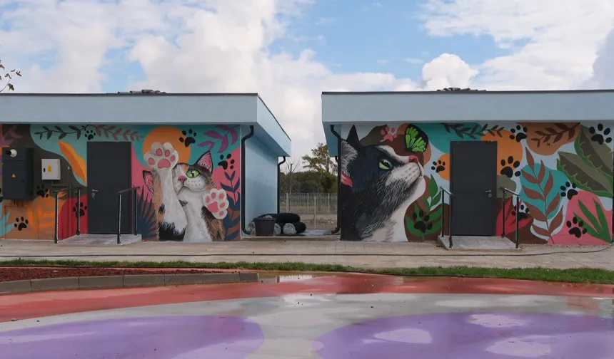 Sakarya'da Doğal Yaşam Kampüsü’ne sanatla dokunuş