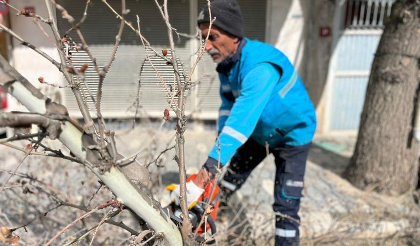 Adıyaman Belediyesi'nden ağaçlara bahar bakımı