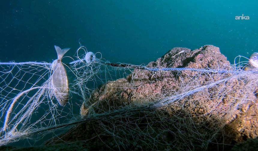 'Mavi İz' projesiyle deniz kirliliğine sanat dokunuşu