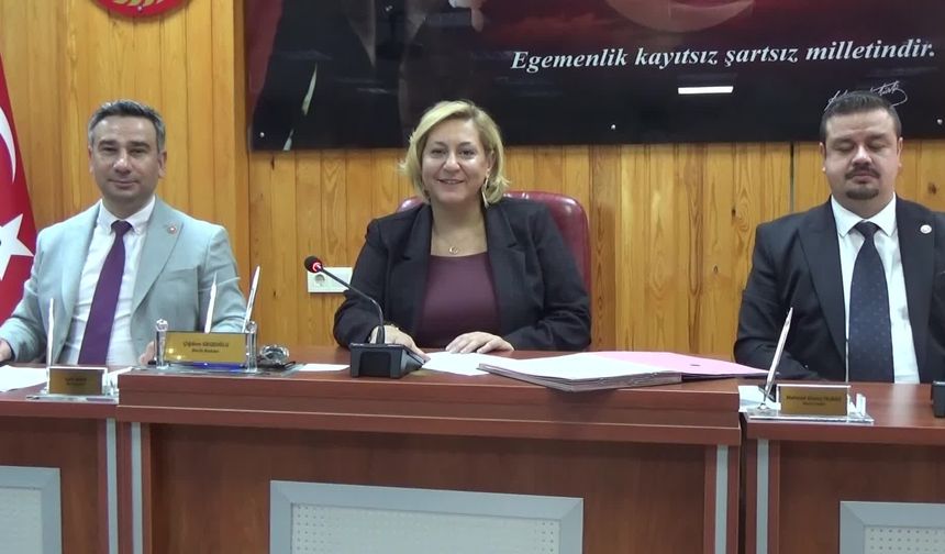 Trakya'ya kurulmak istenen nükleer santrale tepki: Trakya'da bir doğa katliamına karşı durmak zorundayız