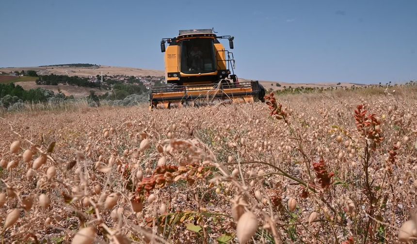 Yozgat Bozok Üniversitesi Öğretim Üyesi Doç. Dr. Karakaş: 'Çevreyi ön planda tutarak üretim yapılması kazancı daha çok artırıyor'