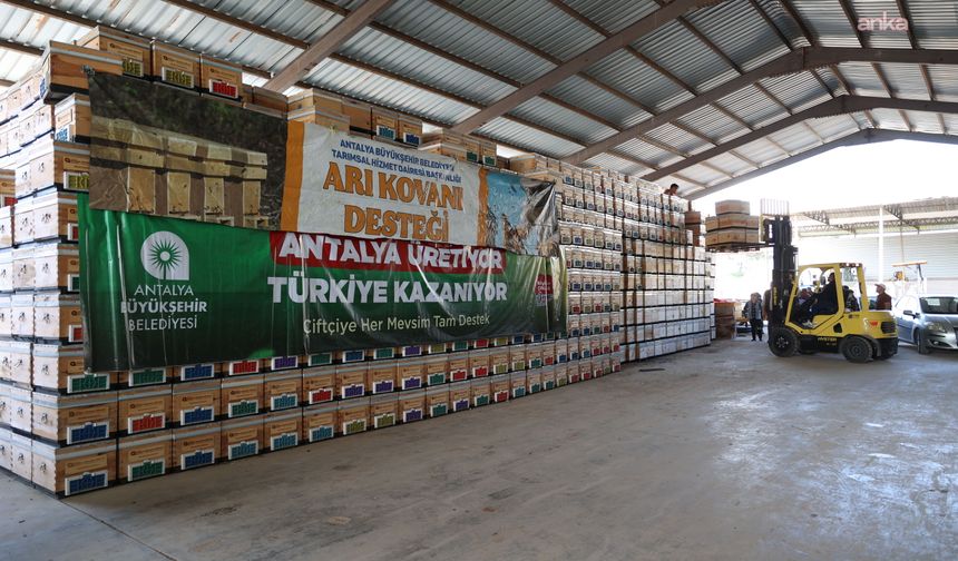 Antalya Büyükşehir Belediyesi'nin destekleriyle kentte arıcılık yaygınlaşıyor