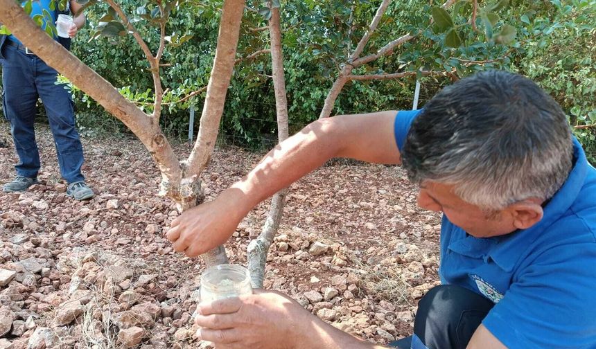Muğla Büyükşehir Belediyesi'nin çalışmalarıyla kırsalda dayanışma büyüyor