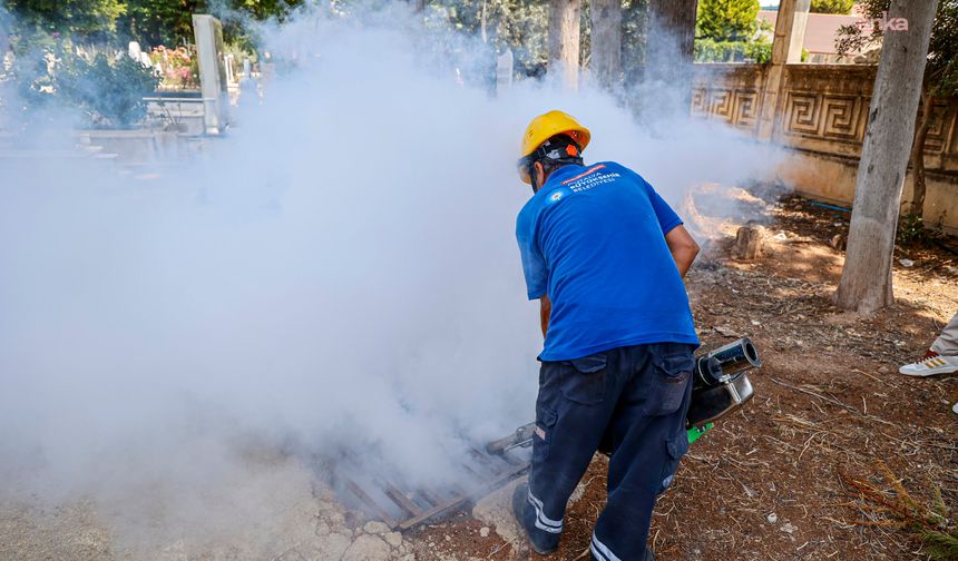 Antalya Büyükşehir Belediyesi, ilaçlama çalışmalarına devam ediyor 